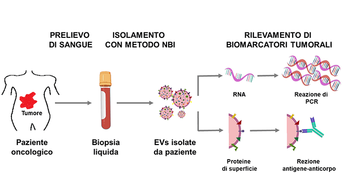 Applicazione protocollo NBI